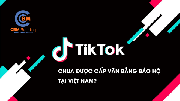TikTok chưa được cấp văn bằng bảo hộ tại Việt Nam