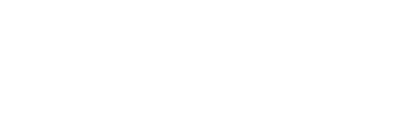 Khai Tâm Trà